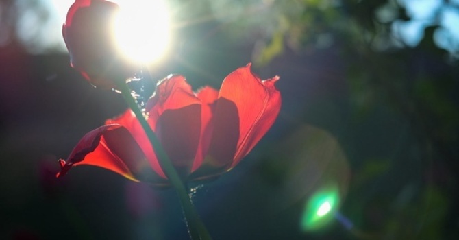 Difficult Life Transitions